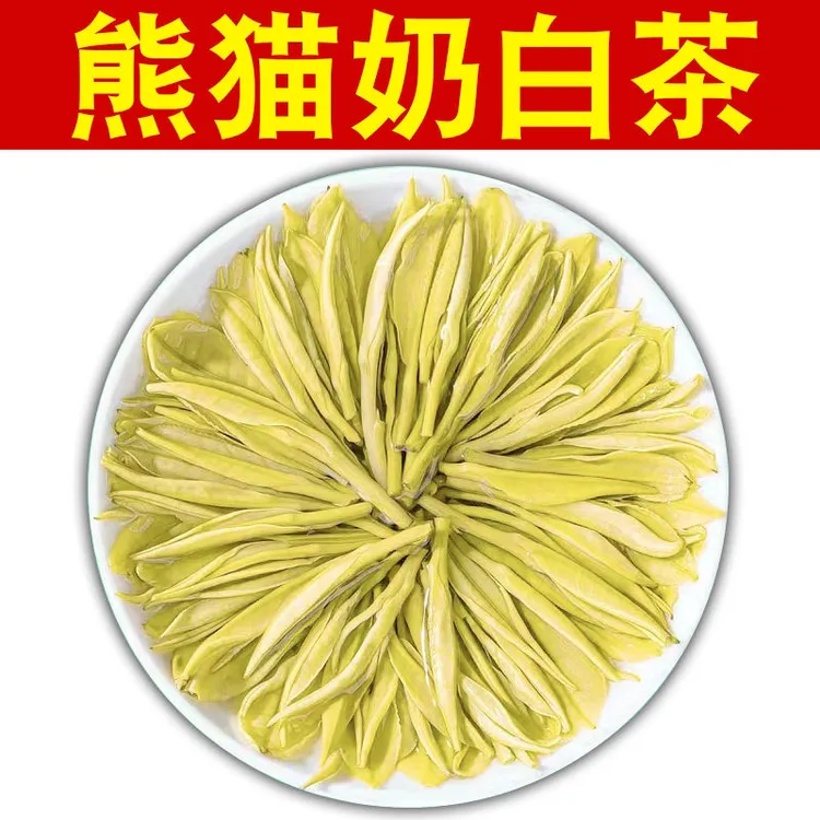 A1 2025新茶奶白茶白茶毛峰绿茶125g250g