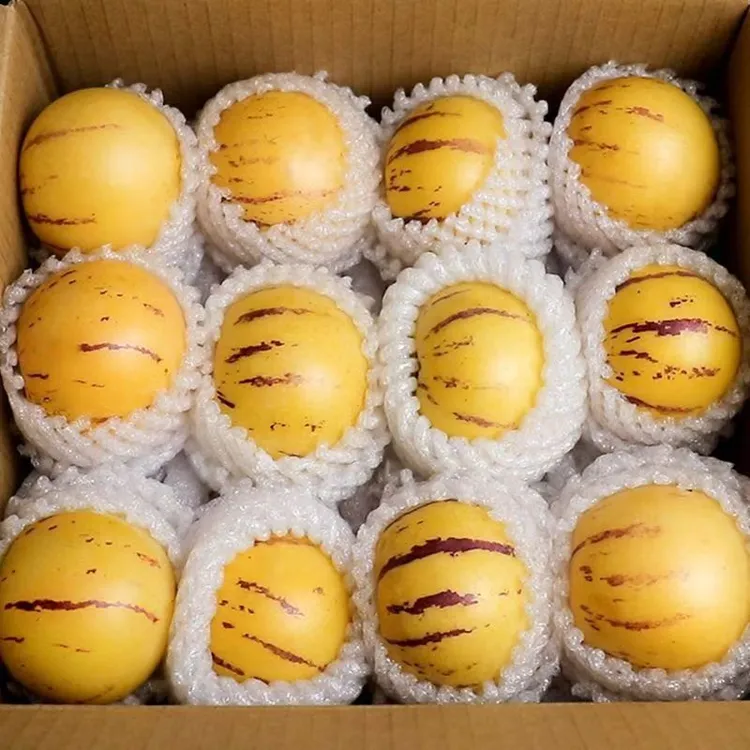 云南石林人参果新鲜水果树熟黄肉圆大果皮薄清甜多汁应季水果3/5