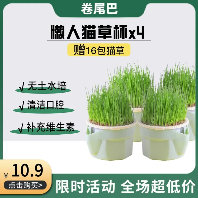 森森卷尾巴猫草杯盆栽小麦黑麦育苗杯无土水培化毛狗猫草薄荷懒人