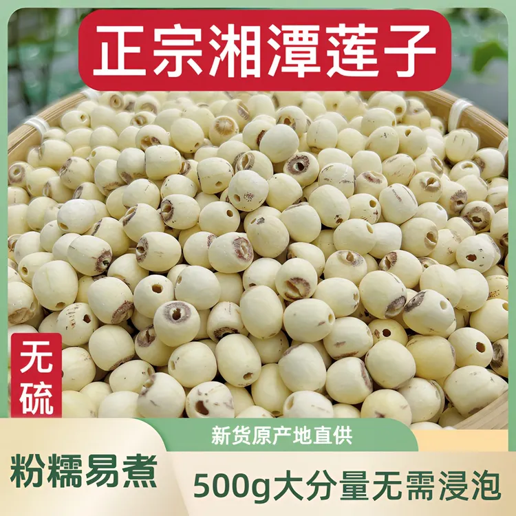 湖南正宗莲子干货去芯白莲子500g颗粒均匀饱满营养优选新鲜新货