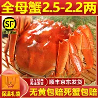 名蟹行【活蟹】大闸蟹全母蟹2.5-2.2两5对10只装精挑送礼 去绳净重