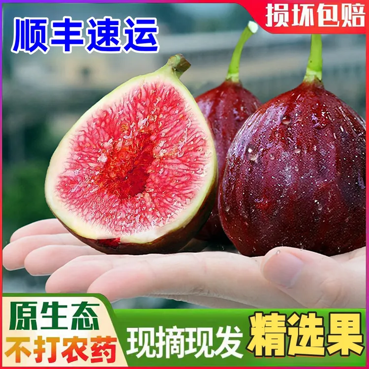 顺丰现摘云南新鲜无花果特大果礼盒红皮无花果非格莱斯青皮无花果