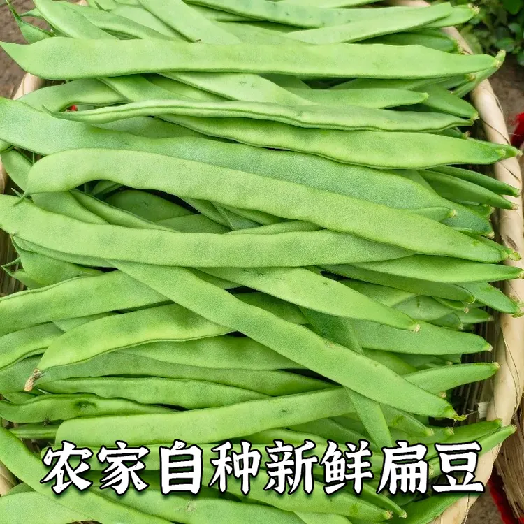 农家自种新鲜现摘扁豆脆嫩清甜云南应季蔬菜3斤/5斤