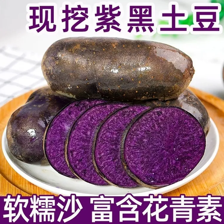 【新鲜紫土豆】黑土豆大果现挖紫色乌洋芋马铃薯黑洋芋富含花青素