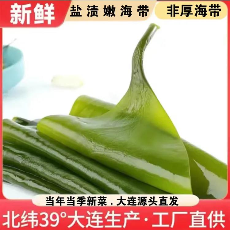 大连新鲜盐渍海带5斤/含箱