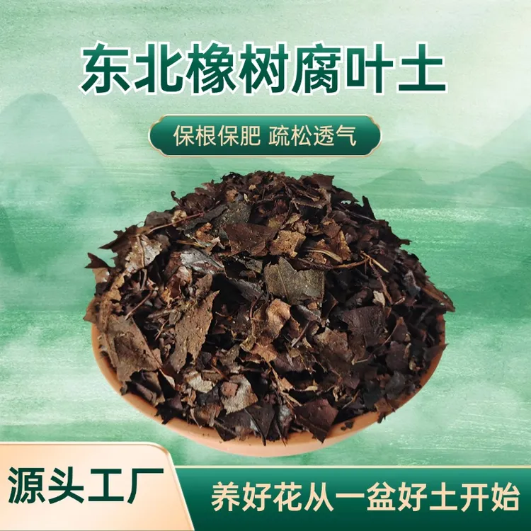 东北橡树腐叶土君子兰营养土有机肥发酵腐熟腐殖土花卉适用免施肥
