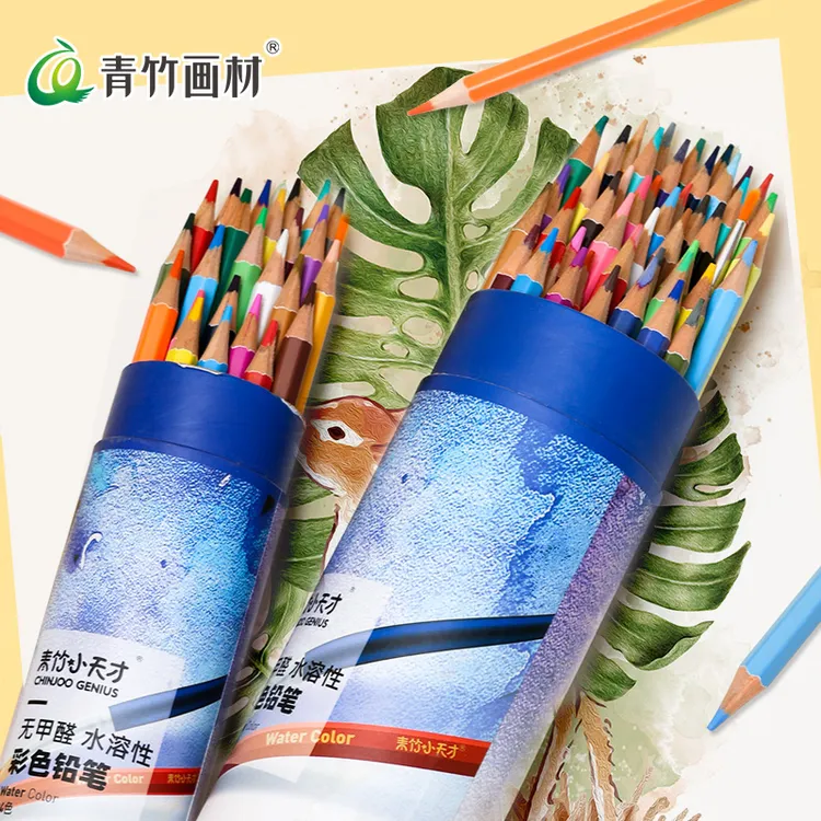 青竹小天才儿童油性水溶性彩铅