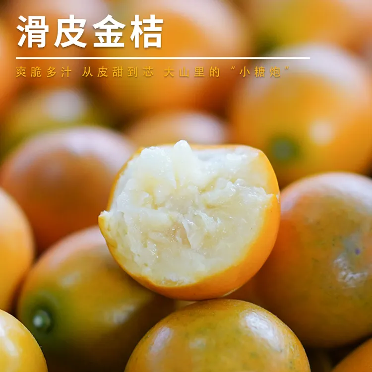 正宗广西融安第二代滑皮小金桔当季新鲜糖豆金桔时令当季水果