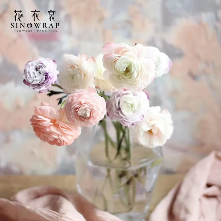 花衣裳280ml鲜花吸色剂郁金香染色康乃馨玫瑰切花染料布朗尼颜料