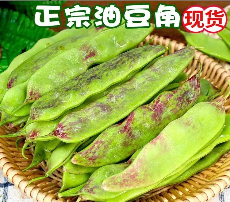 东北油豆角一点红新鲜现摘宽面豆开锅烂芸豆脆嫩美味当地自产直供