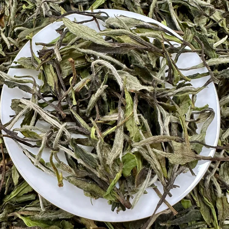 绿行2025高山一级白牡丹白茶散茶茶叶