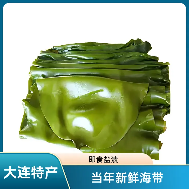大连特产整颗海带新鲜盐渍（带箱5斤）整张抽真空高品质高蛋白鲜美