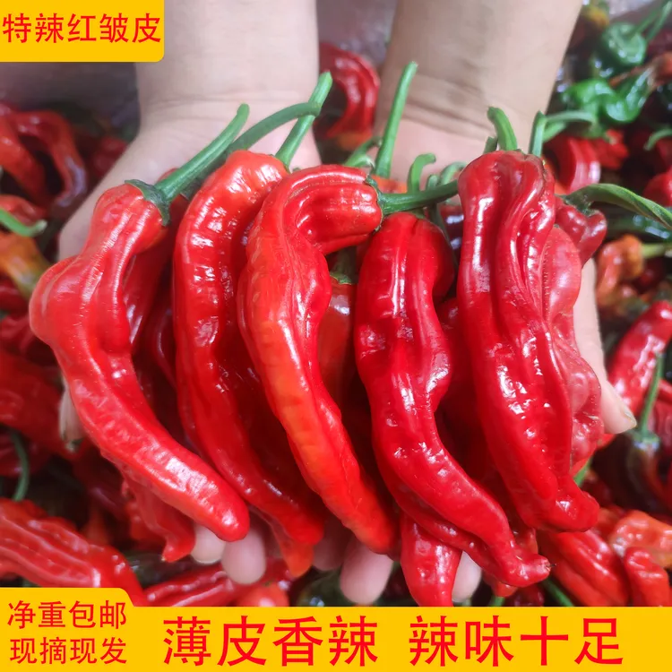 特辣辣椒新鲜蔬菜红皱皮薄皮辣椒酱剁椒专用农家自种2斤3斤5斤