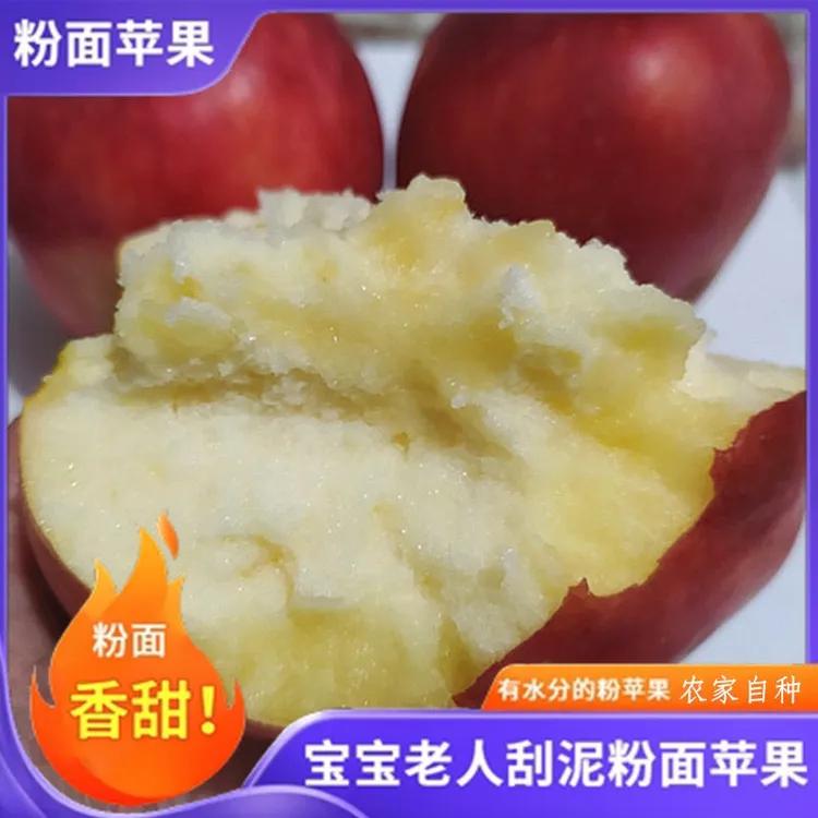 新鲜粉面沙甜苹果宝宝刮泥婴儿老年人吃的新鲜红星绵水果3/5斤