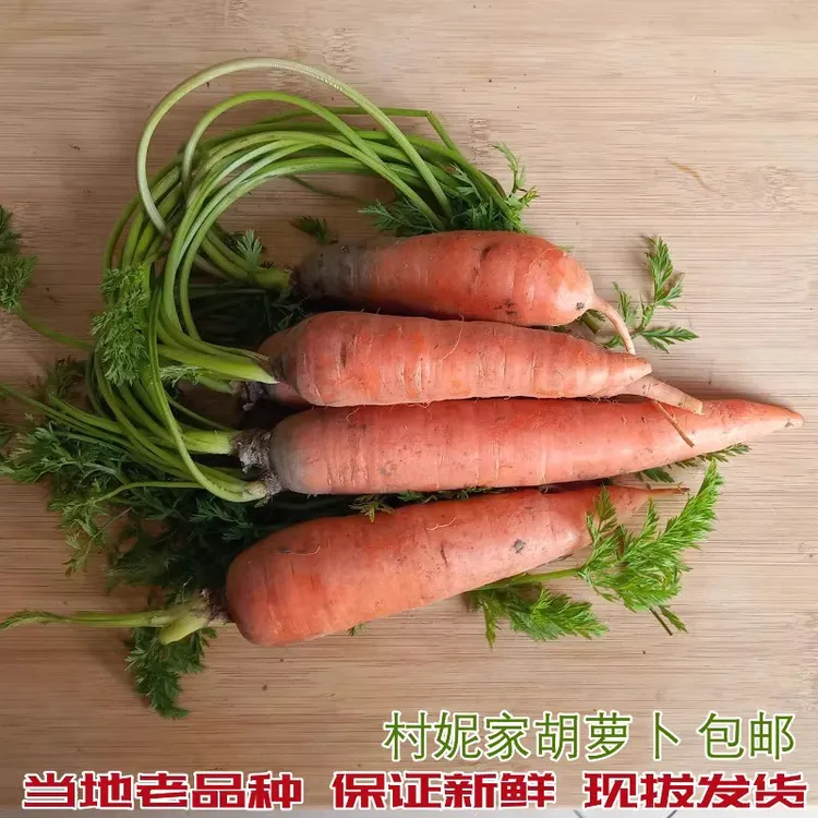 佬家根 黑龙江农夫家蔬菜新鲜胡萝卜东北农家生态小人参 4斤8斤