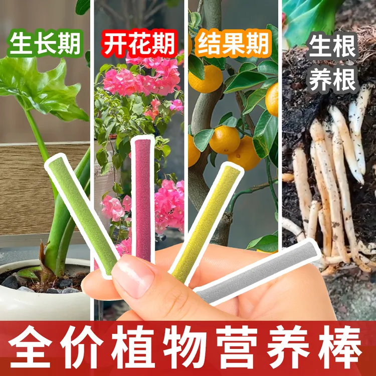 植物缓释营养棒控释肥家庭园艺通用肥多肉盆栽绿植花卉发财树肥料