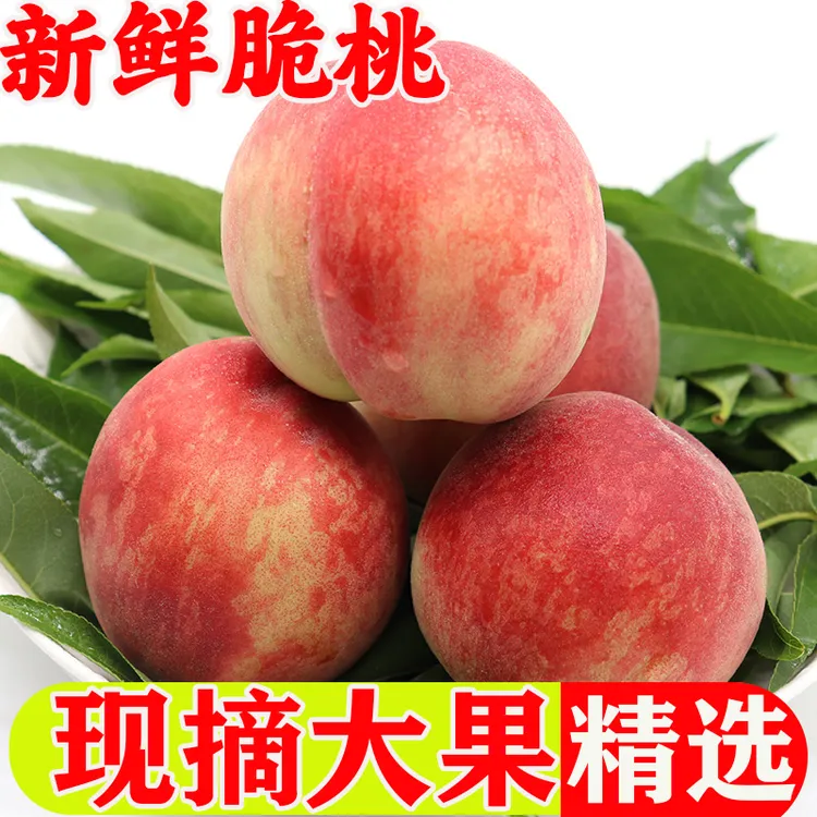 【肥城桃】顺丰包邮正宗肥城桃新鲜采摘基地直发香甜可口