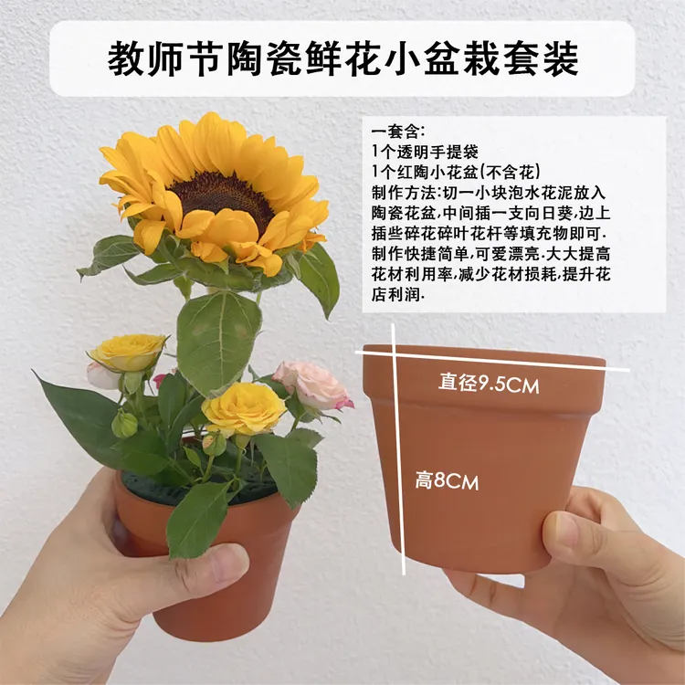 教师节迷你陶瓷花艺小花盆玫瑰,感谢栽培小盆栽陶瓷花盆,包邮