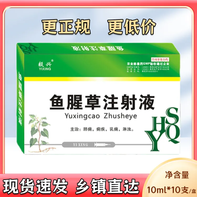 鱼腥草注射10ml*10支