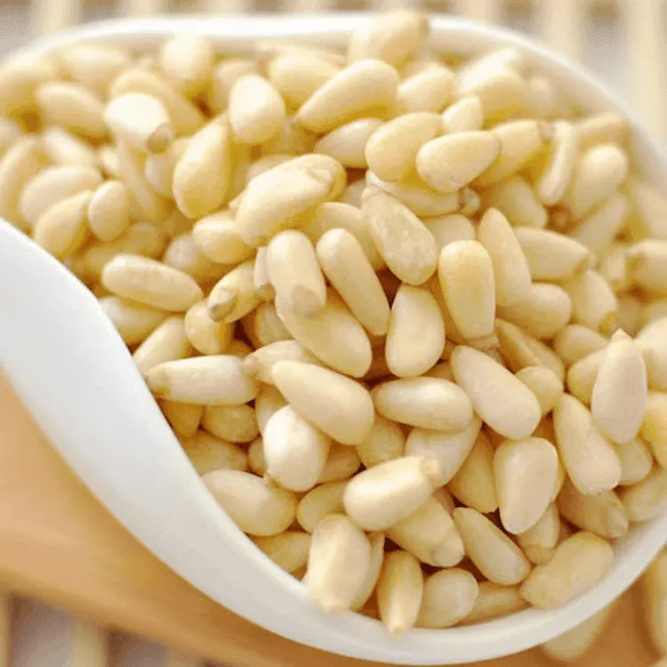 俄罗斯进口松子仁500g新剥皮松子仁坚果零食