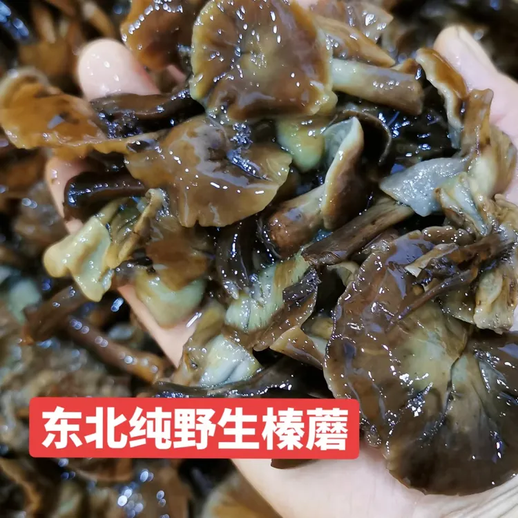 野生榛蘑,焯水拌盐咸蘑菇,泡三四个小时泡淡之后在吃