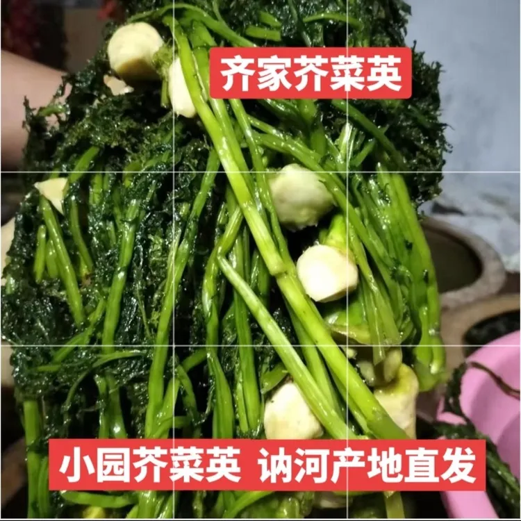 2025年新腌芥菜英，大缸腌制咸口，泡淡之后凉拌或炖豆腐