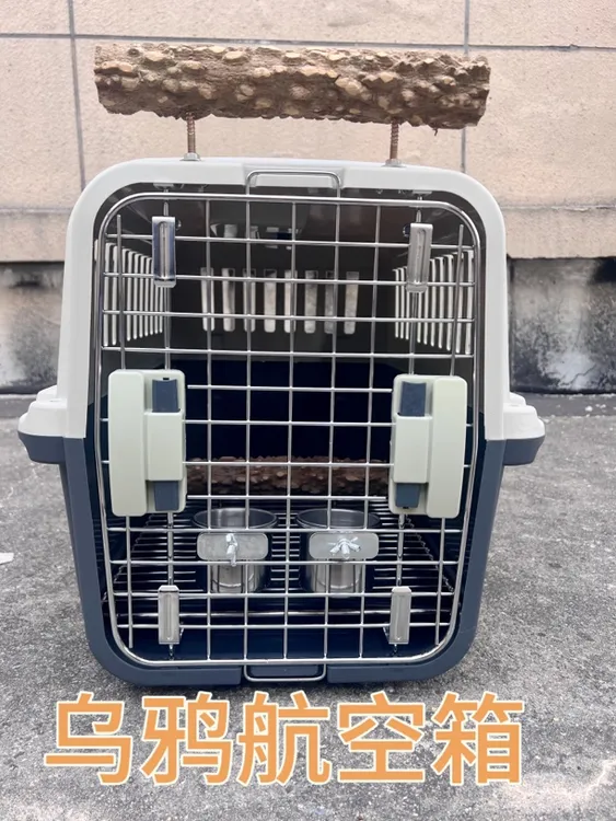 鸦科户外精品定制航空箱乌鸦秃鼻乌鸦白颈乌鸦红嘴山鸦航空箱