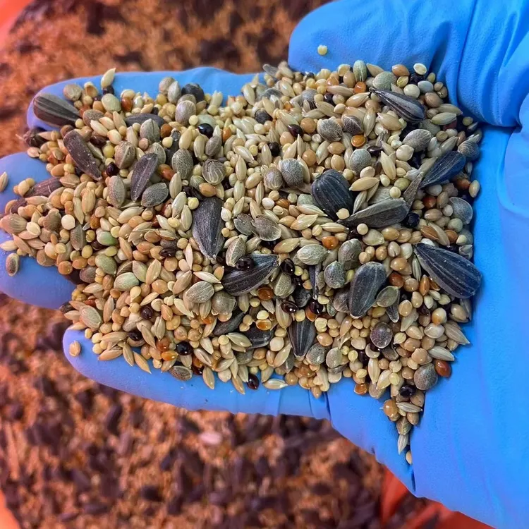 玄凤鹦鹉混合粮食牡丹横斑小虎鹦鹉鸟食中小型鸟混合饲料包邮