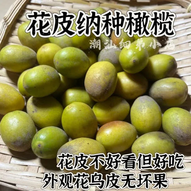 金灶花乌皮纳种橄榄 软糯多汁回甘香无渣 新鲜现摘 一斤装