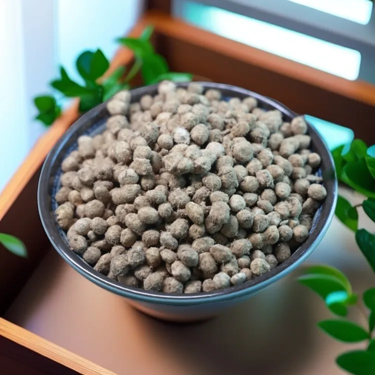 黄豆大豆，黄豆2斤起拍