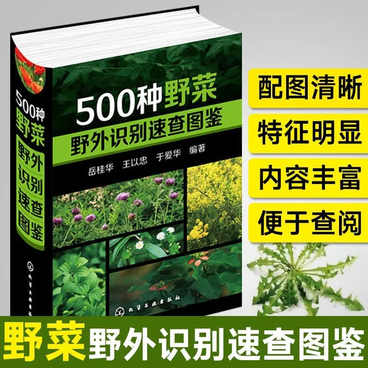 500种野菜野外识别速查图鉴 中草药彩色图鉴