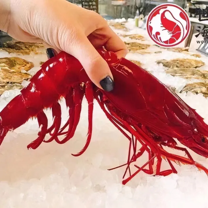 红魔虾大号6只一盒特大号4只一盒红魔虾尾