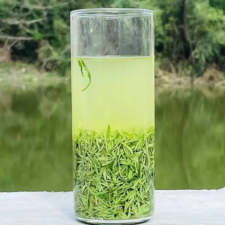 信阳毛尖2025年新茶原产地明前茶断芽风针毛尖茶鲜嫩茶汤耐泡