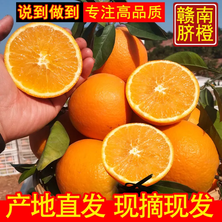 【顺丰包邮】赣南脐橙现摘现发新鲜水果1/5/10斤装孕妇甜橙子