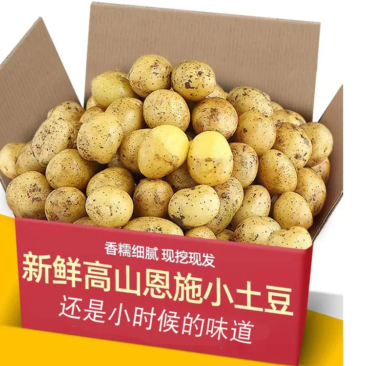网红恩施黄心小土豆呀新鲜现挖3/5/9斤迷你马铃薯洋芋[粉糯香甜]商品图