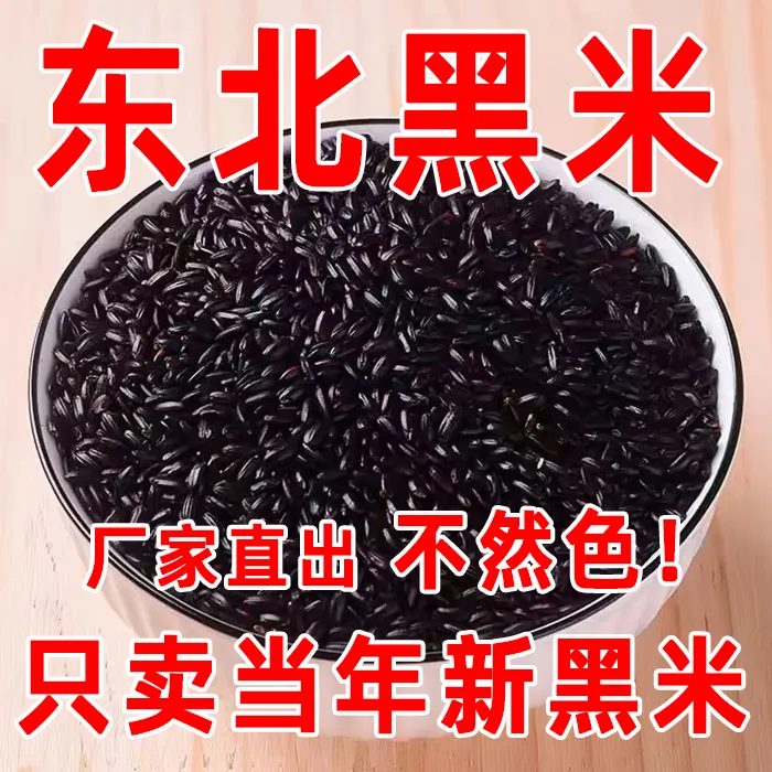 【买一送一】2025年五常黑米5斤装 黑龙江农家东北黑米黑米粥食用黑