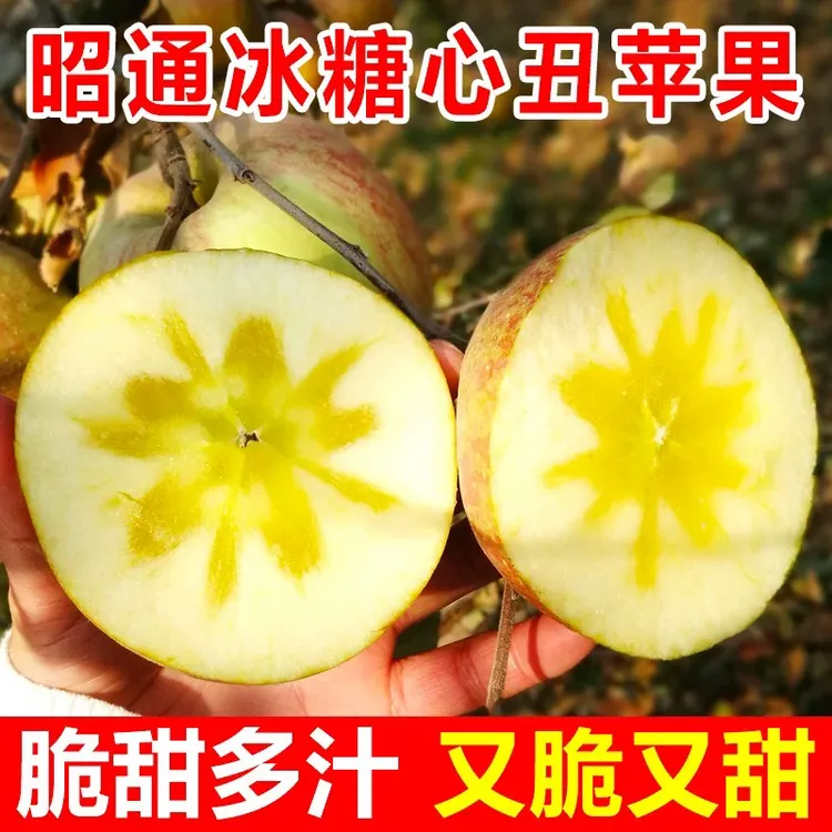 【4.5斤冰糖心】正宗云南冰糖心丑苹果新鲜脆甜多汁【现摘现发】