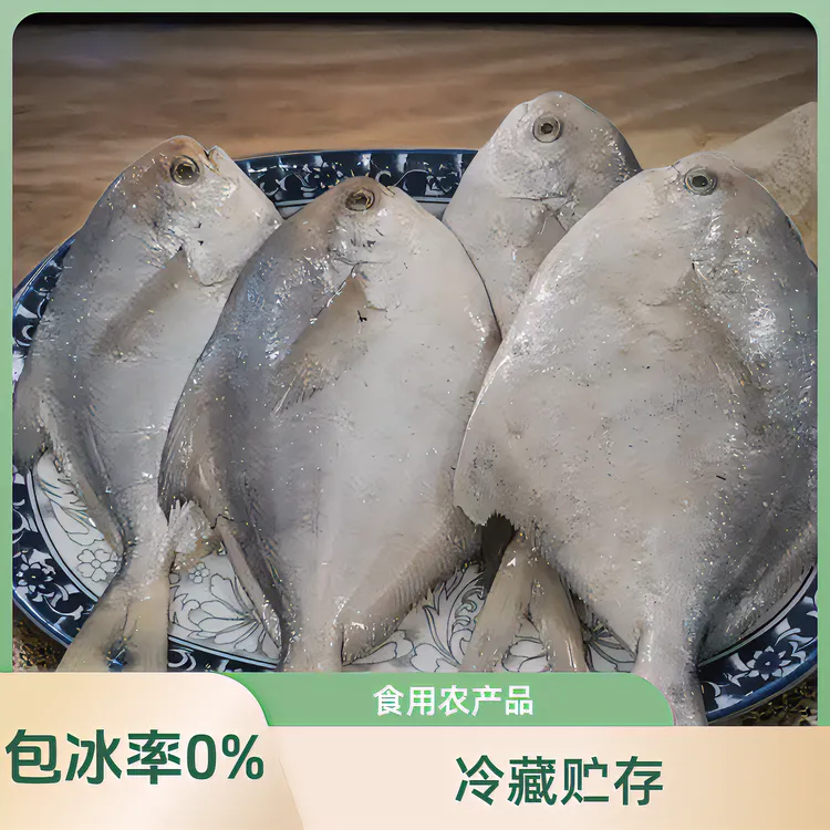 吕四本港海鲜白鲳 银鲳吕四本港海鲜大礼包吕四本港海鲜礼品盒