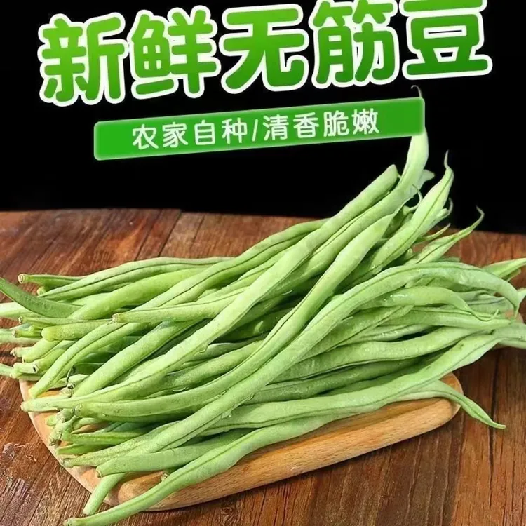 【云南架豆王无筋豆】农家自种现摘现发无筋豆四季豆青扁豇豆新鲜