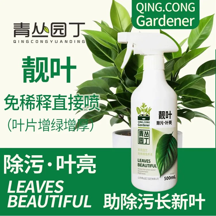 青丛园丁靓叶除污叶亮叶绿叶油亮长效家庭园艺通用即喷型营养液