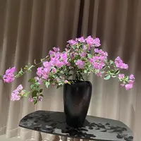 银边浅紫(水仙紫)·三角梅