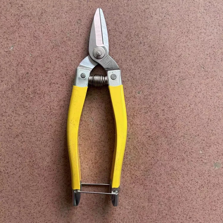 A级罗定不锈钢剪刀果花剪沙糖桔摘果剪柑桔剪修枝剪水果采摘剪刀