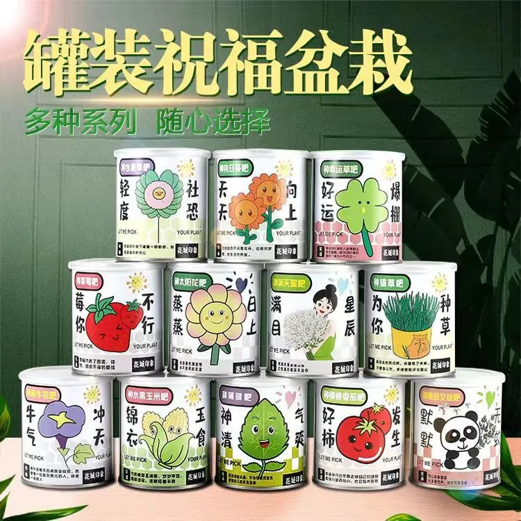 办公室绿植小盆栽神奇植物室内迷你桌面儿童种植罐头情绪稳定盲盒