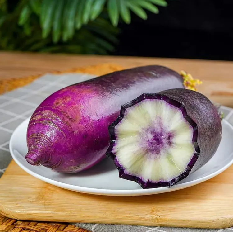 天津冰激凌水果萝卜。脆甜多汁，富含花青素。冷棚80分品质。