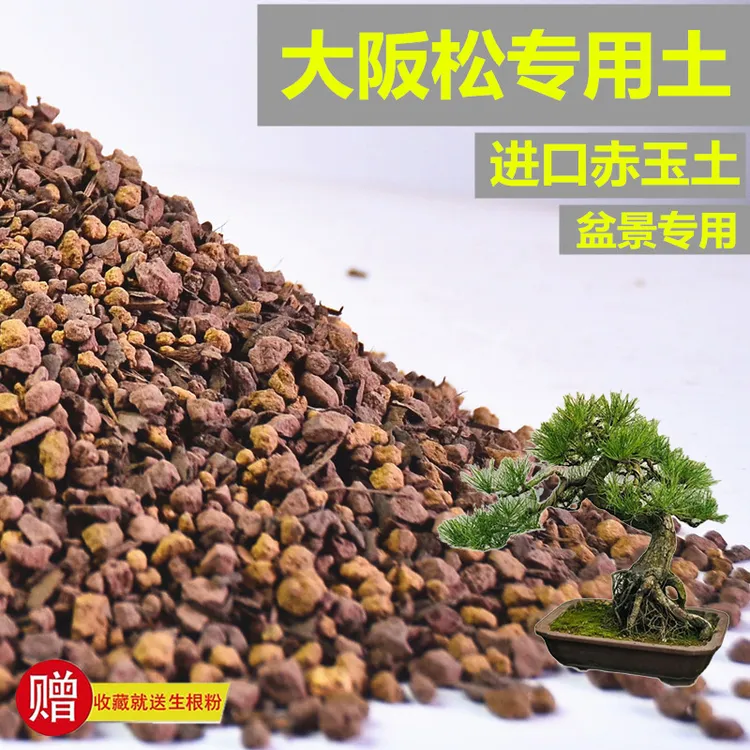 大阪松专用土赤玉土风化土盆景土营养土酸性土专用肥有机缓释玉肥
