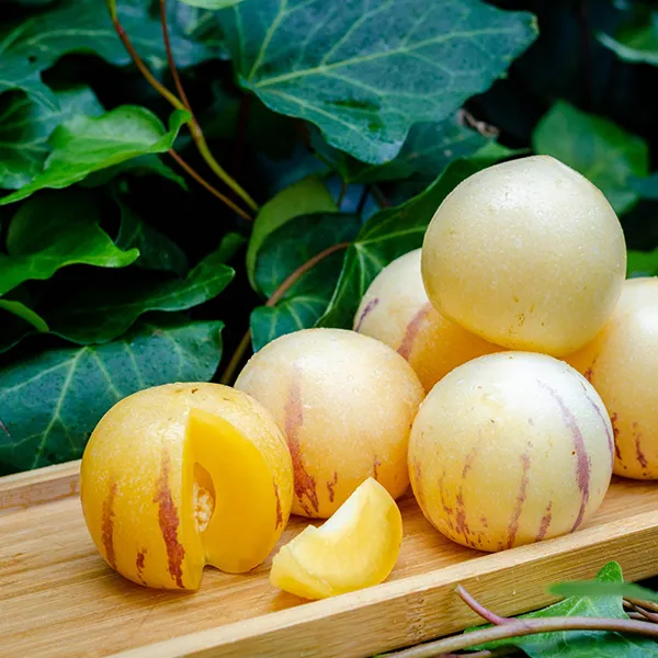 云南人参果树上自然熟产地直发3/4.8/8斤坏果包赔