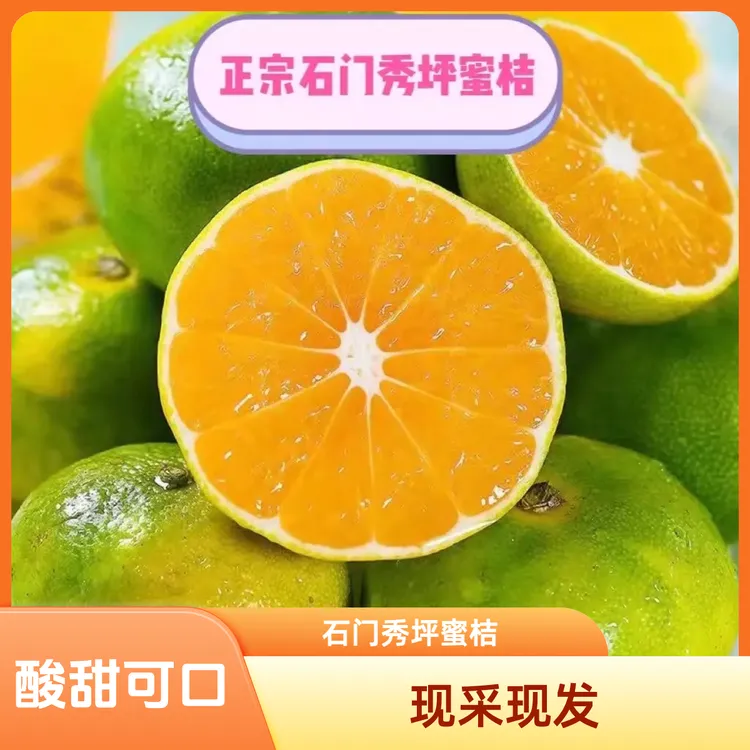 正宗湖南石门秀坪蜜桔24个礼品装基地现采直发酸甜可口新鲜采摘