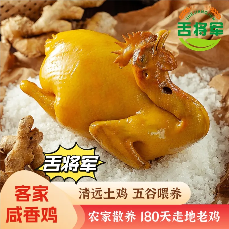 【舌将军清远鸡】古法秘制盐焗咸香鸡 五指毛桃鸡 营养新鲜有嚼劲