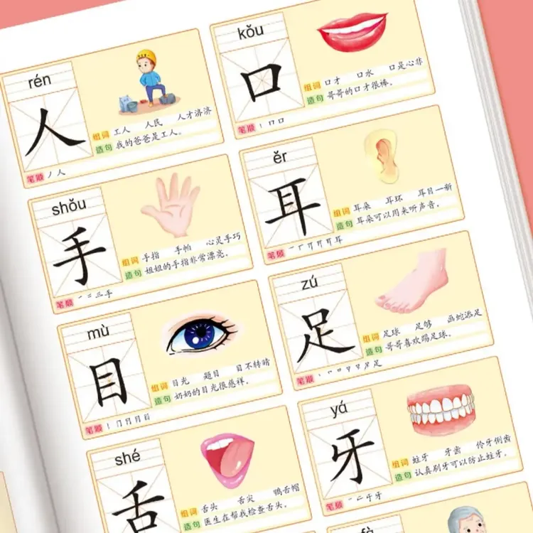 识字大全3000字幼儿园学前启蒙认字神器儿童识字大王书早教汉字