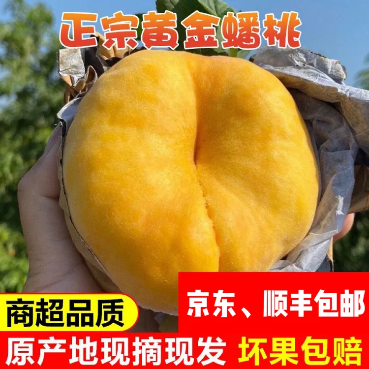【脆软两吃】黄金毛蟠桃3-4.5斤蒙阴黄蜜桃子水果坏果包赔包邮